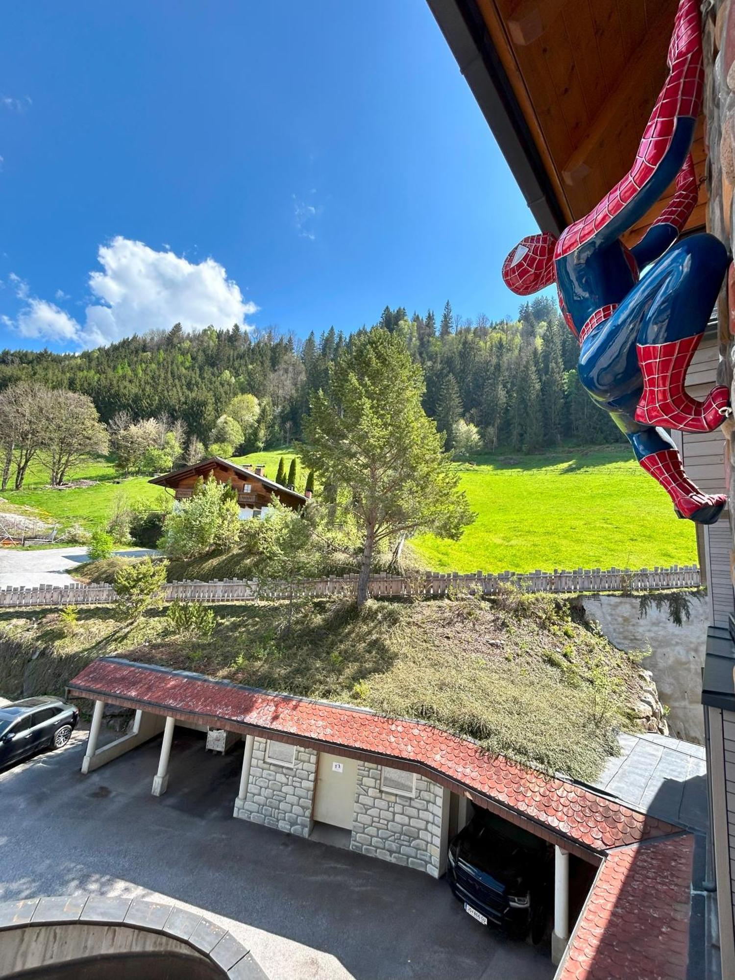 Weitenmoos Panorama Apartments Sankt Johann im Pongau Dış mekan fotoğraf