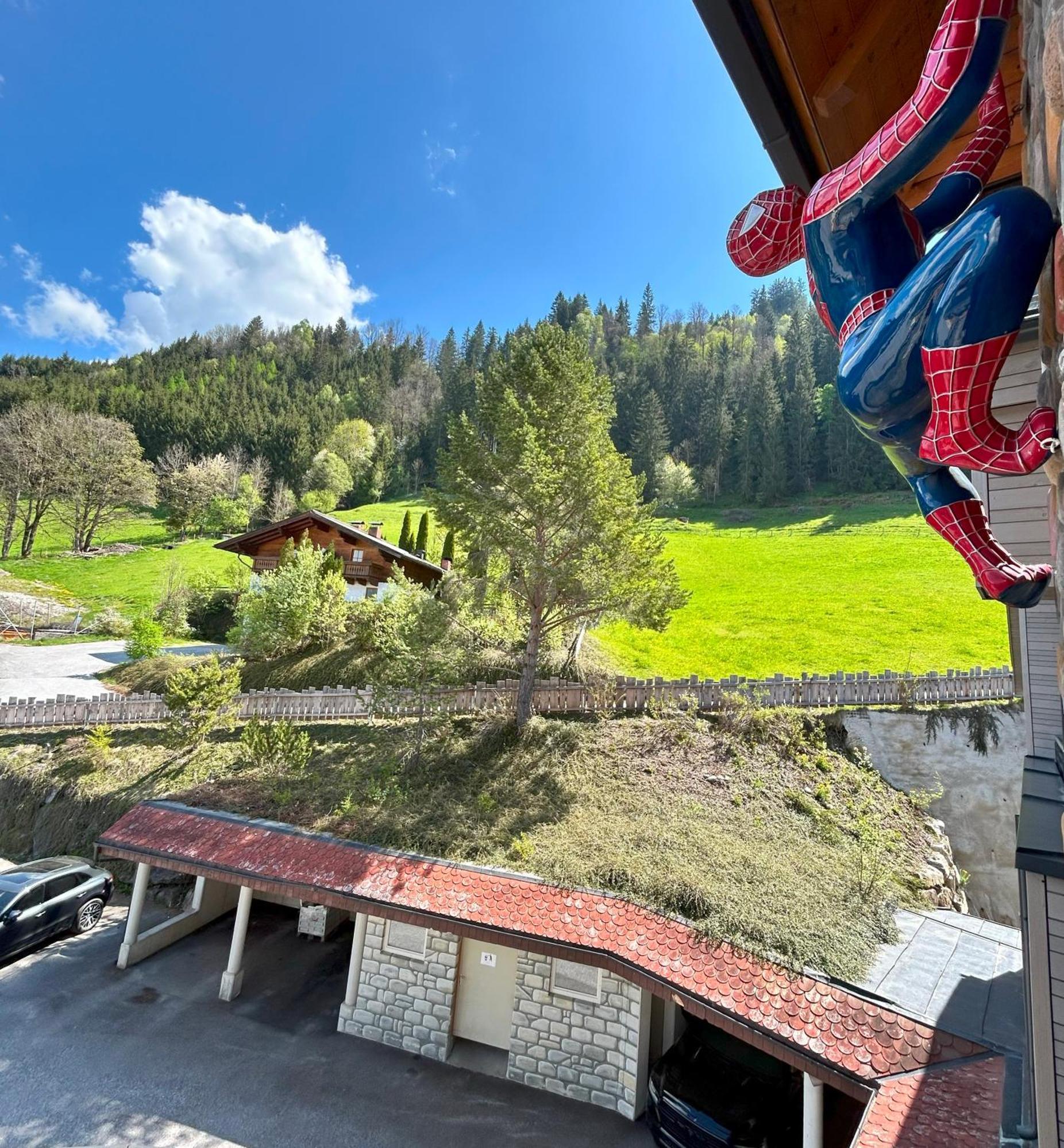 Weitenmoos Panorama Apartments Sankt Johann im Pongau Oda fotoğraf