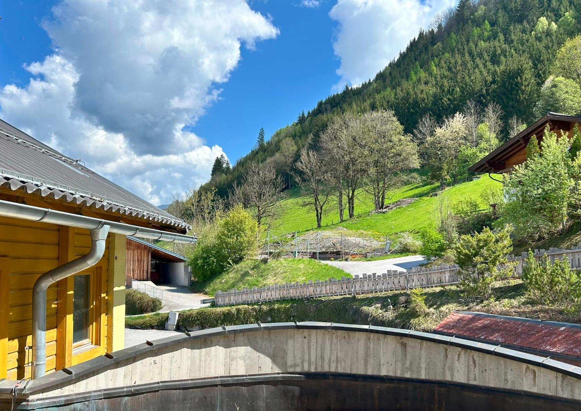 Weitenmoos Panorama Apartments Sankt Johann im Pongau Oda fotoğraf